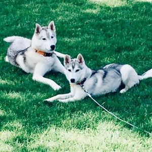 Meet your Posher, Kacey